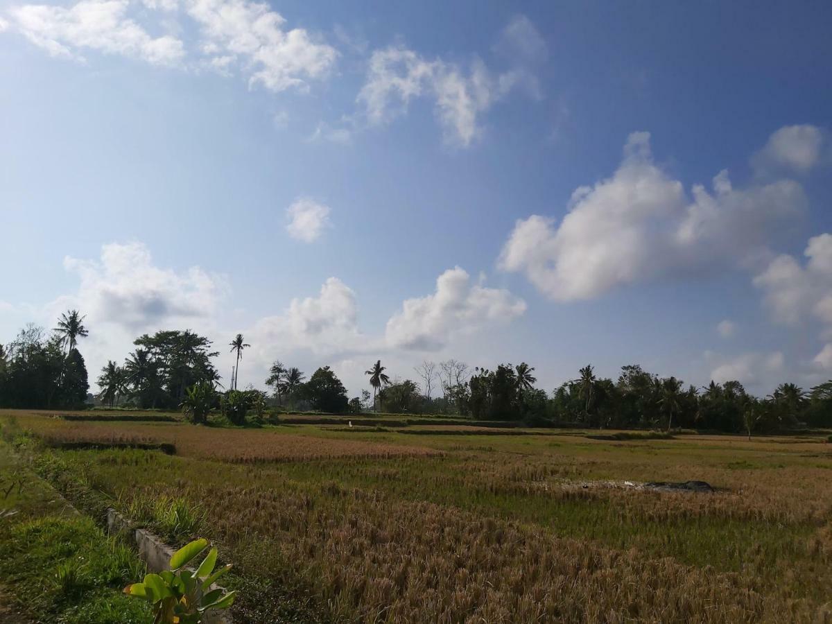 Ayuna Family Ubud Exterior foto